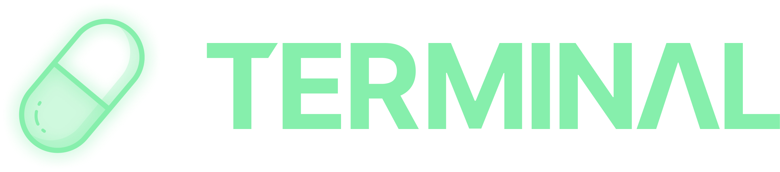 Terminal Logo